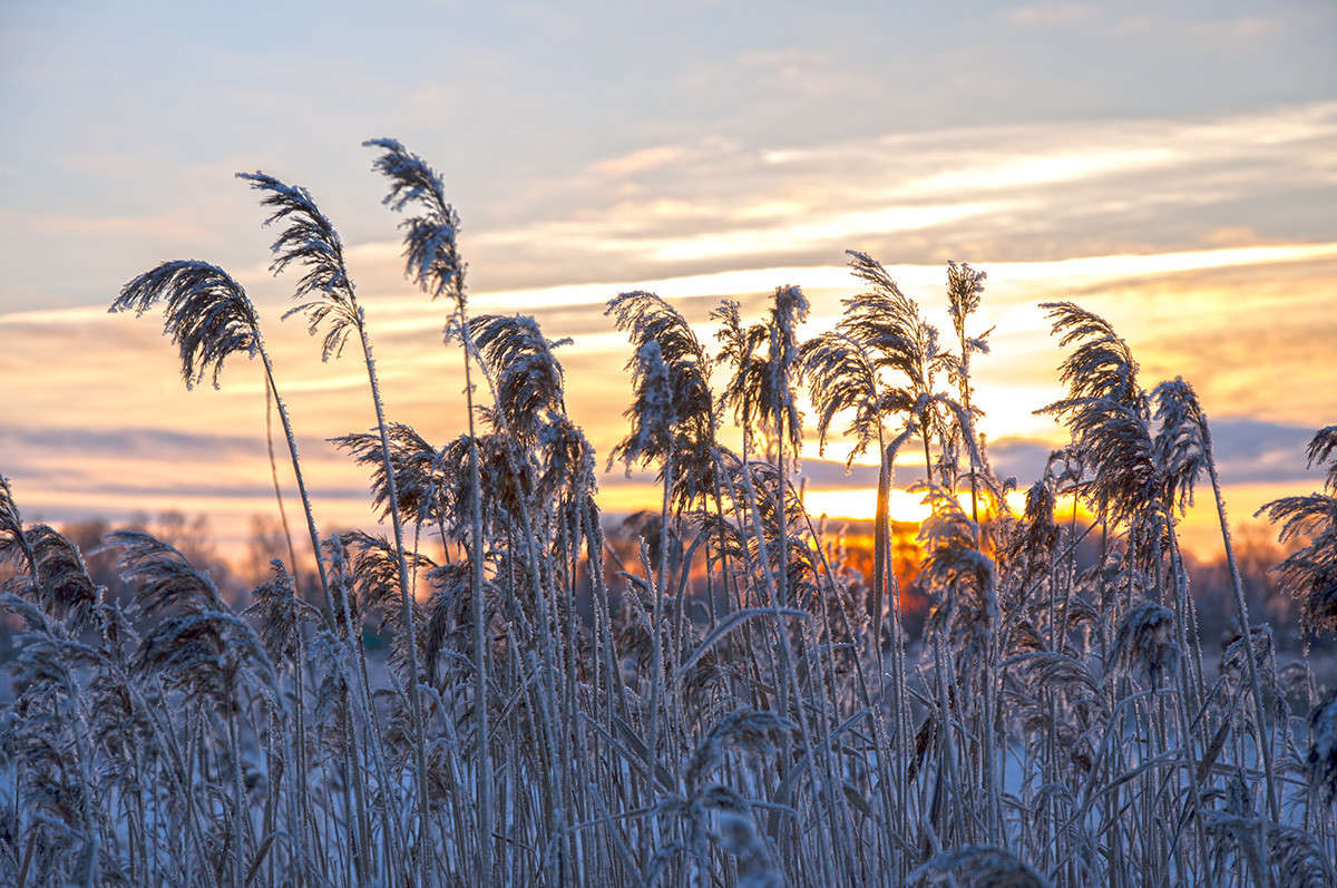 ������ ����� ����� ����� �������� �� PhotoGeek.ru #������ ��� �������