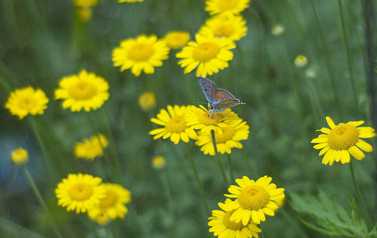 * ����� ����� �������� �� PhotoGeek.ru #������ ��� �������