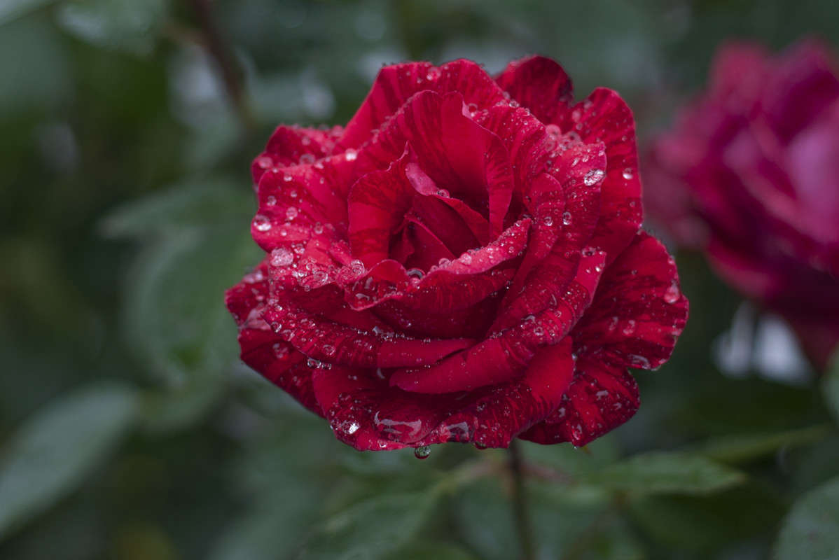 * ����� ����� �������� �� PhotoGeek.ru #������ ��� �������