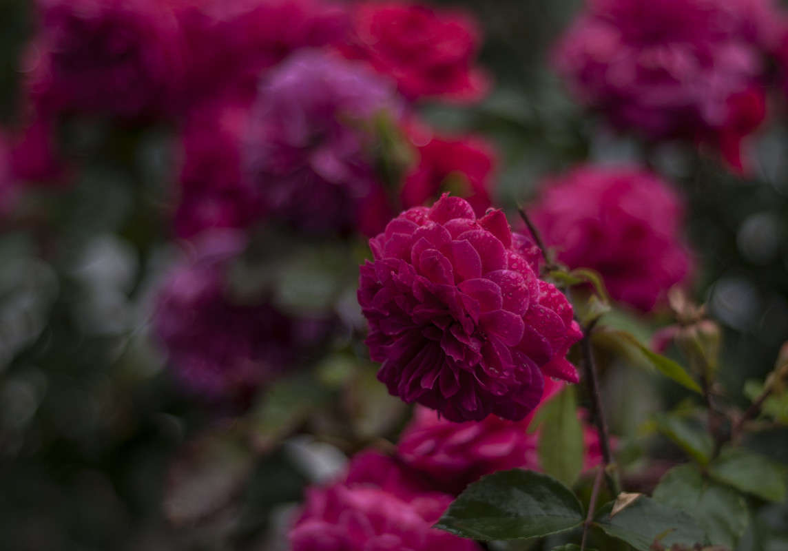 ** ����� ����� �������� �� PhotoGeek.ru #������ ��� �������