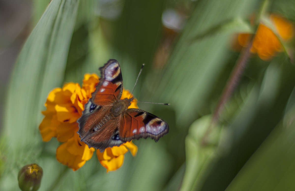 *** ����� ����� �������� �� PhotoGeek.ru #������ ��� �������