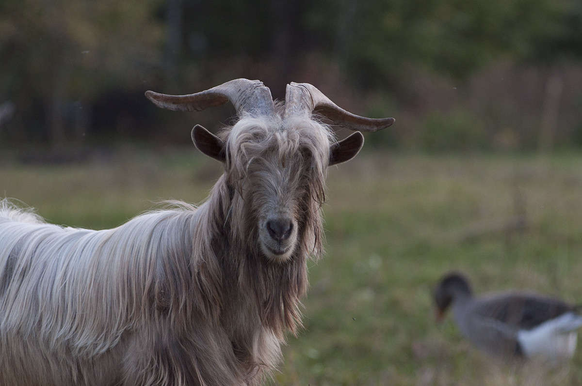 ����� �� �����, ����� �� ����.... ����� ����� �������� �� PhotoGeek.ru #�������� ���