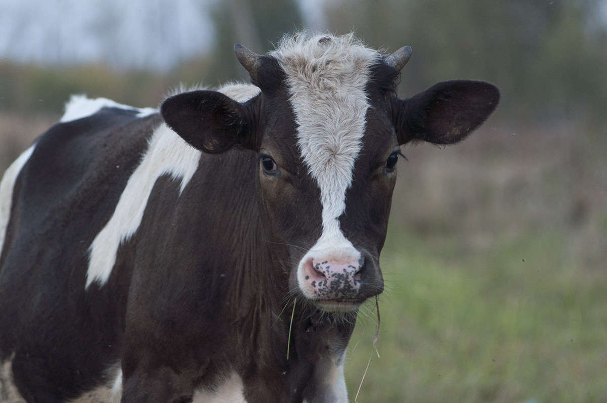 * ����� ����� �������� �� PhotoGeek.ru #�������� ���