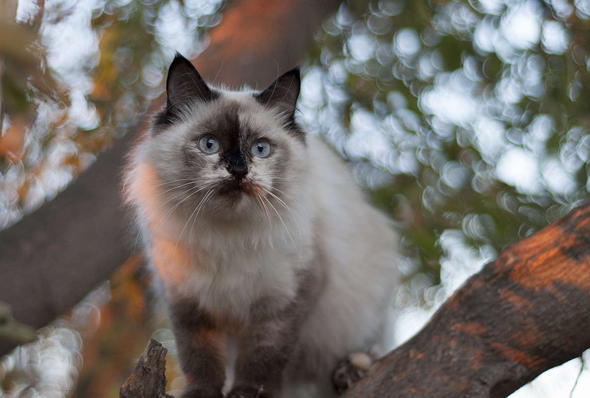 � ��� ������, � ����� ���... ����� ����� �������� �� PhotoGeek.ru #�������� ���