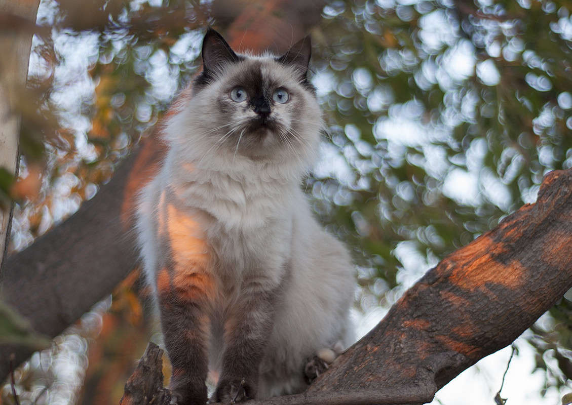 * ����� ����� �������� �� PhotoGeek.ru #�������� ���