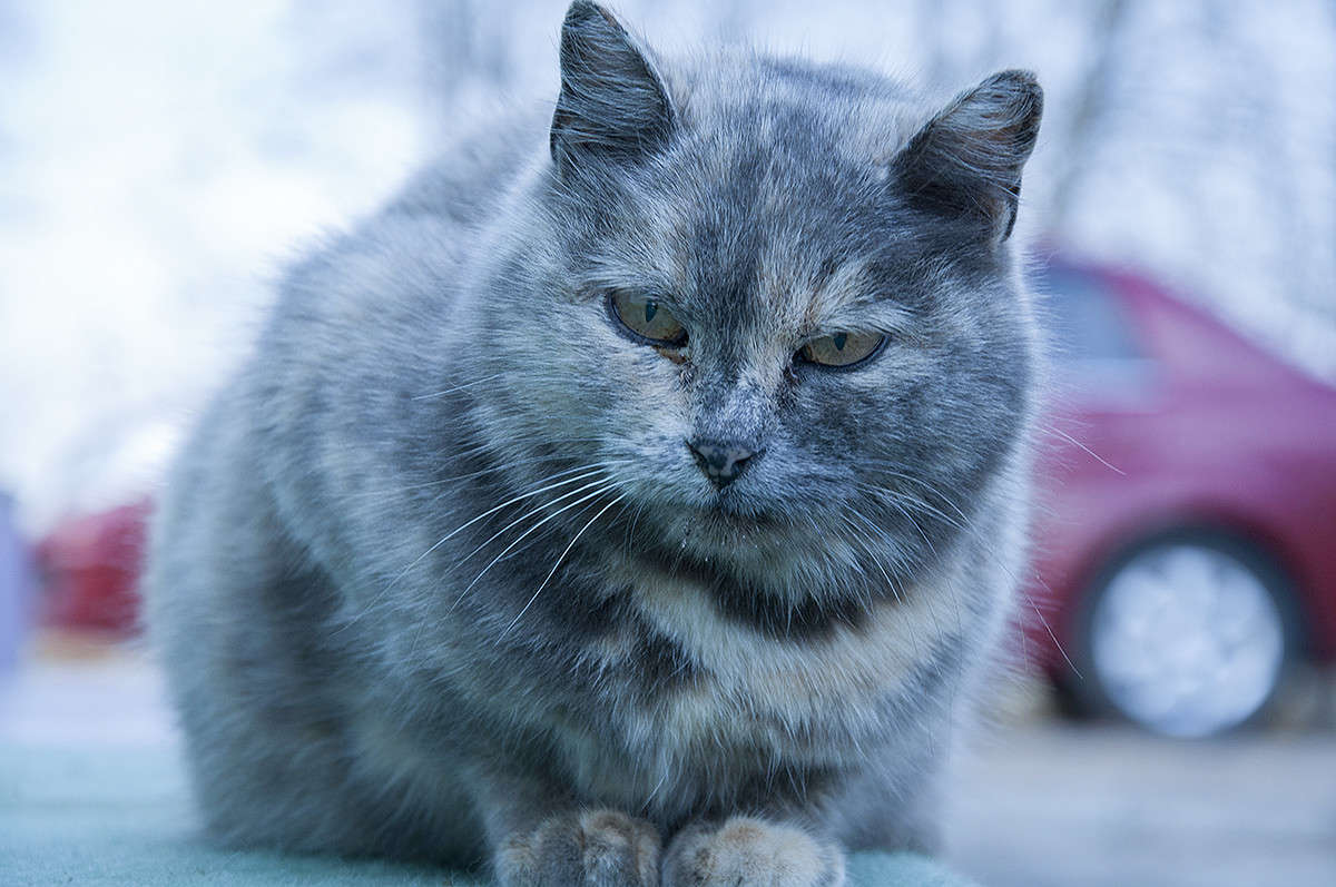 * ����� ����� �������� �� PhotoGeek.ru #�������� ���