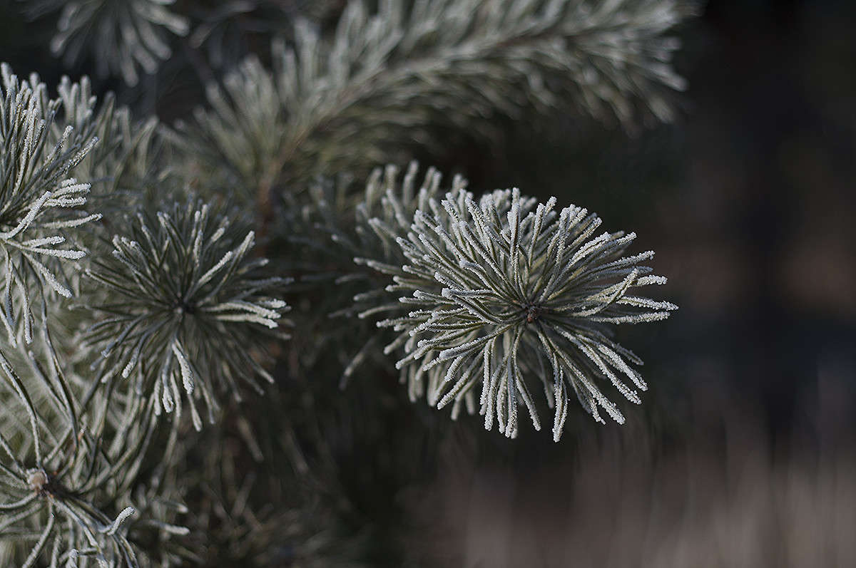 * ����� ����� �������� �� PhotoGeek.ru #������ ��� �������