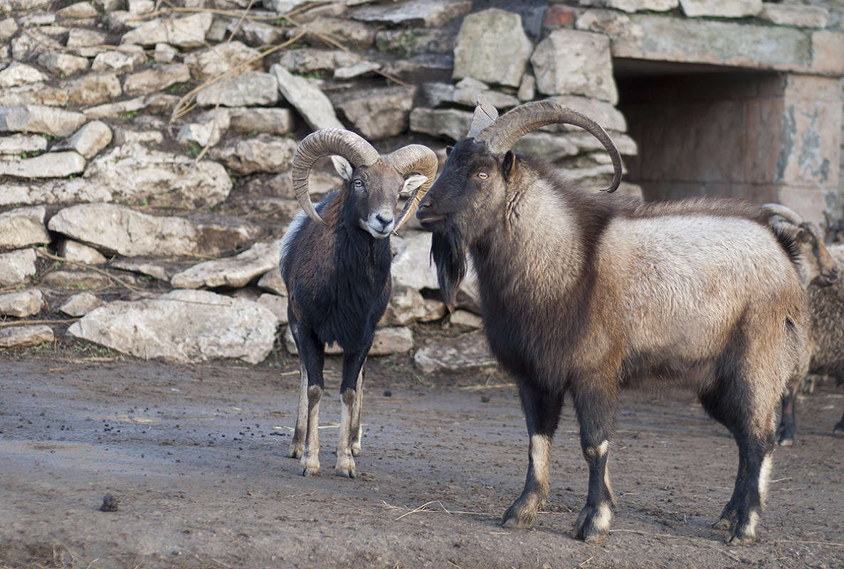 * ����� ����� �������� �� PhotoGeek.ru #�������� ���