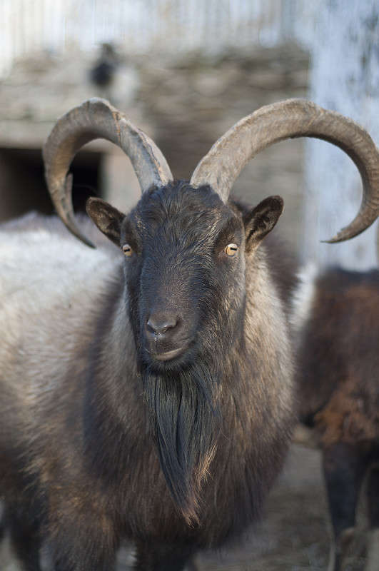 ** ����� ����� �������� �� PhotoGeek.ru #�������� ���