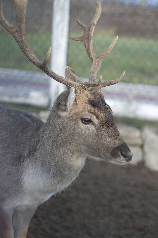 *** ����� ����� �������� �� PhotoGeek.ru #�������� ���