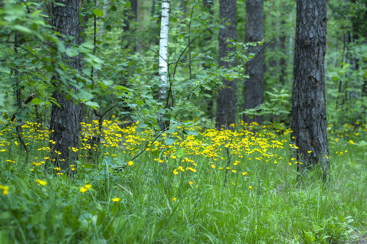 * ����� ����� �������� �� PhotoGeek.ru #������ ��� �������