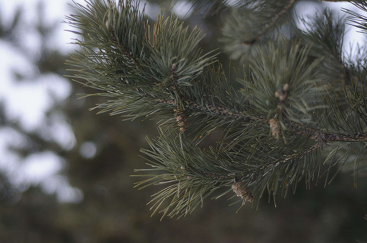 ... ����� ����� �������� �� PhotoGeek.ru #������ ��� �������