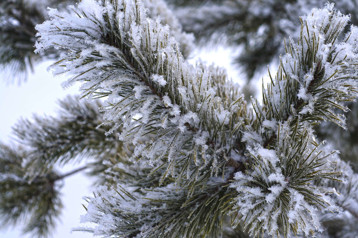 ... ����� ����� �������� �� PhotoGeek.ru #������ ��� �������