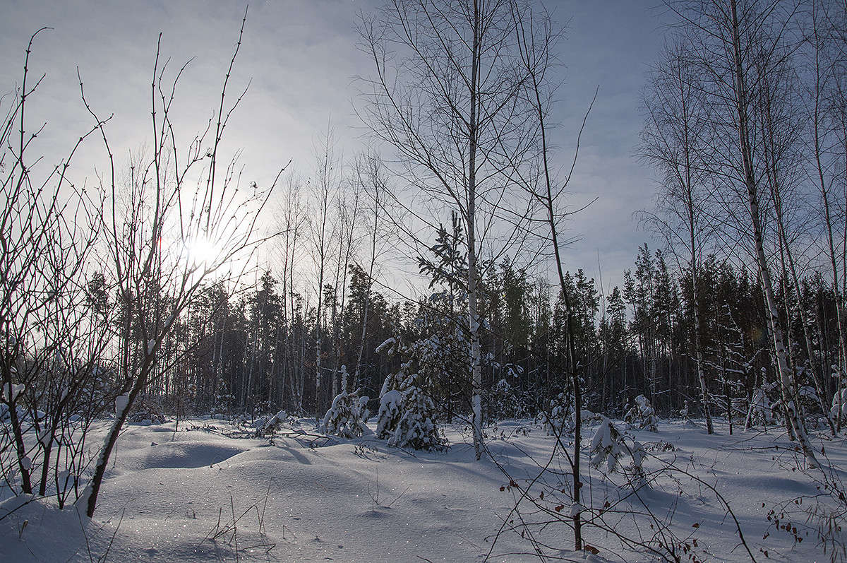 ����� � ������... ����� ����� �������� �� PhotoGeek.ru #������ ��� �������