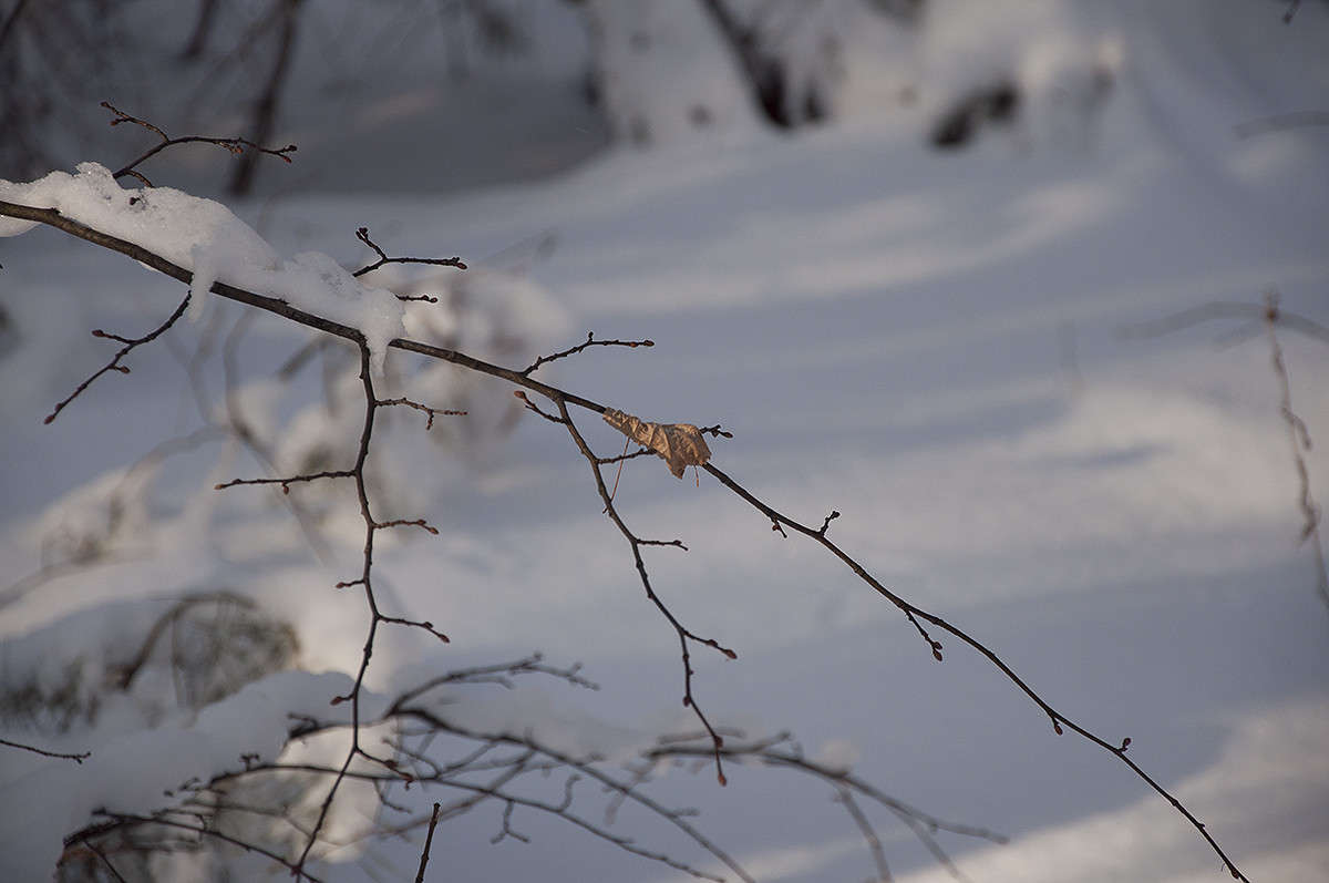 ... ����� ����� �������� �� PhotoGeek.ru #������ ��� �������