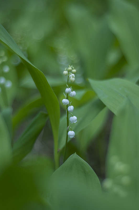 ... ����� ����� �������� �� PhotoGeek.ru #������ ��� �������