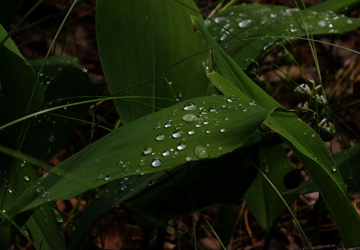 ... ����� ����� �������� �� PhotoGeek.ru #������ ��� �������