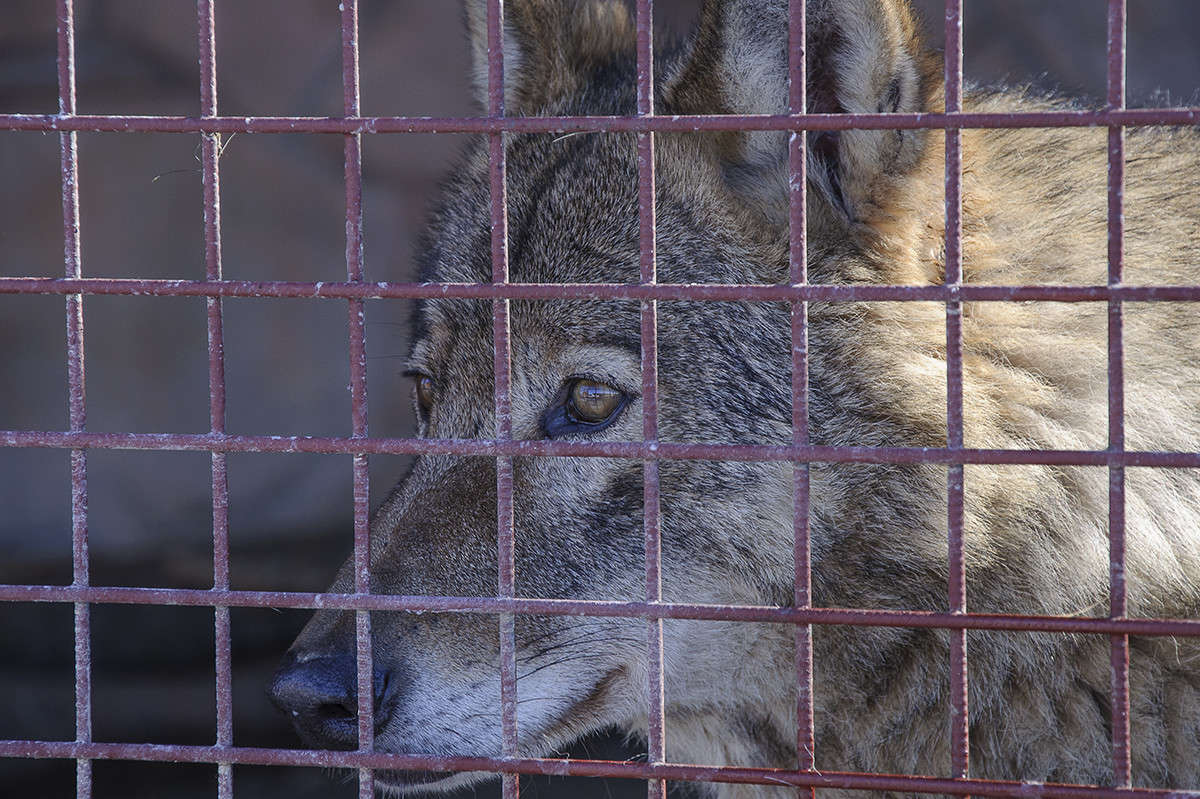 ��� �� ������ �����... ����� ����� �������� �� PhotoGeek.ru #�������� ���