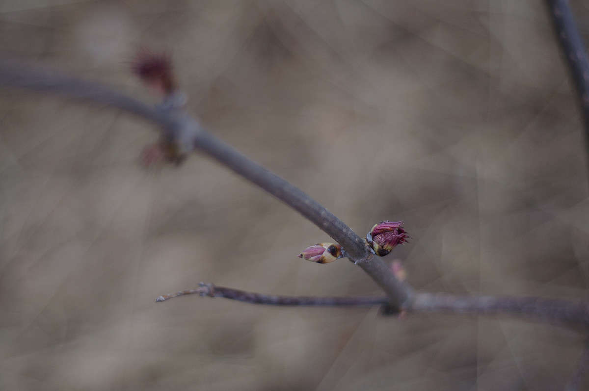 �����������.. ����� ����� �������� �� PhotoGeek.ru #������ ��� �������