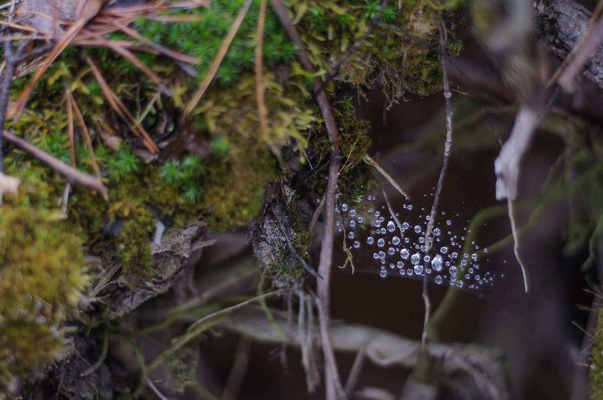 ... ����� ����� �������� �� PhotoGeek.ru #������ ��� �������