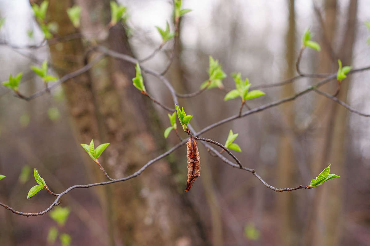 ... ����� ����� �������� �� PhotoGeek.ru #������ ��� �������