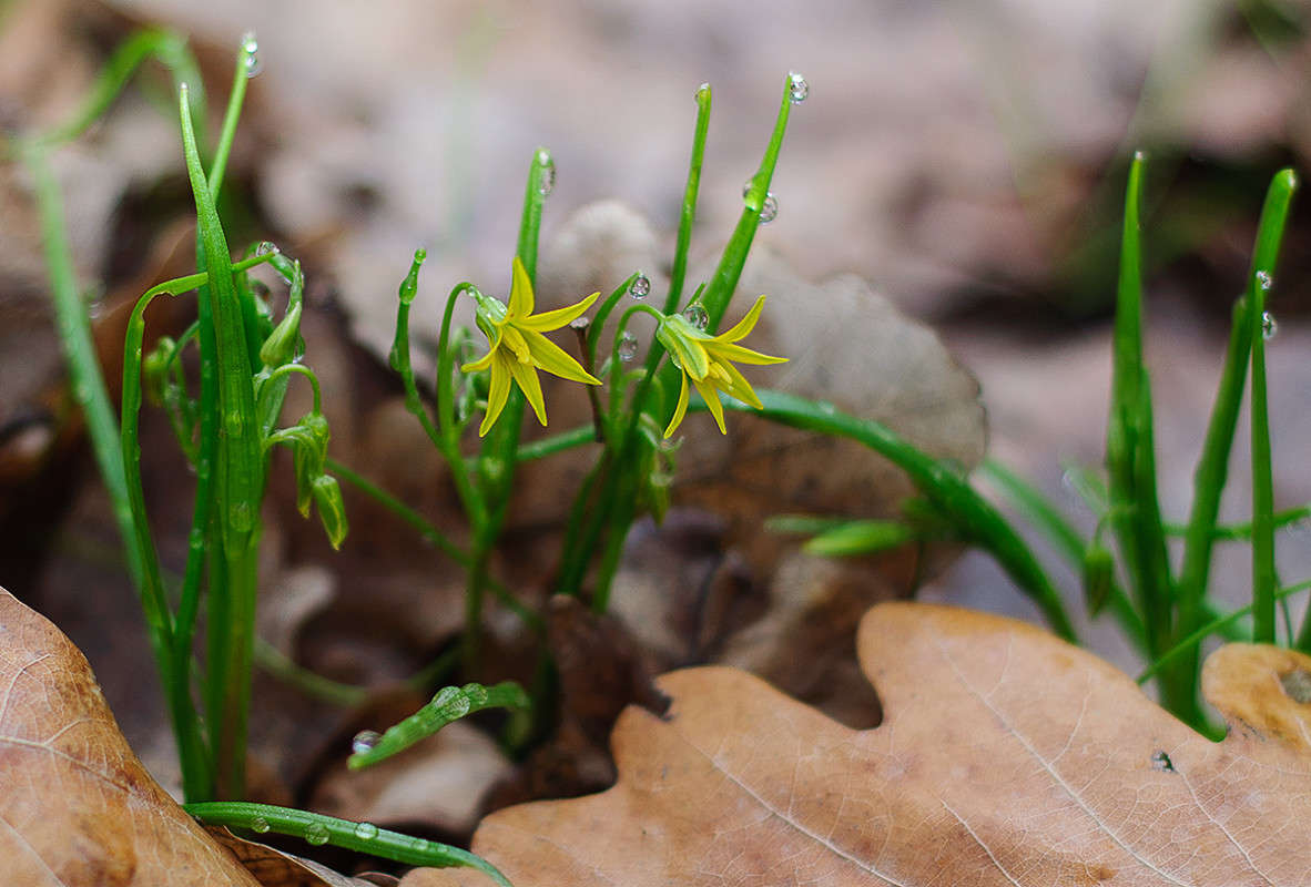 ... ����� ����� �������� �� PhotoGeek.ru #������ ��� �������