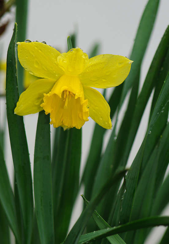 ... ����� ����� �������� �� PhotoGeek.ru #������ ��� ������� #����� ��������������