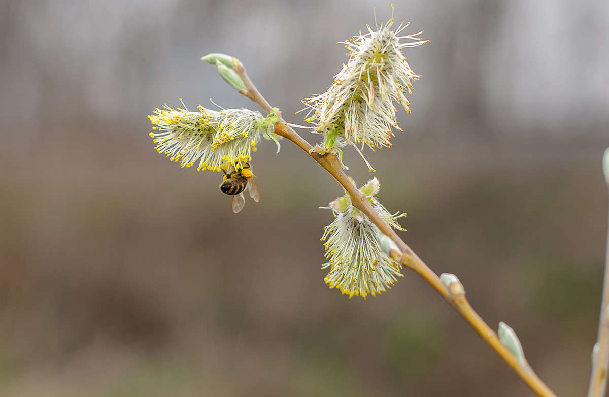 ... ����� ����� �������� �� PhotoGeek.ru #������ ��� ������� #����� ��������