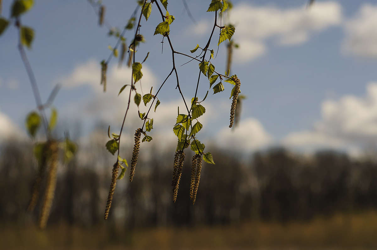 ... ����� ����� �������� �� PhotoGeek.ru #������ ��� �������