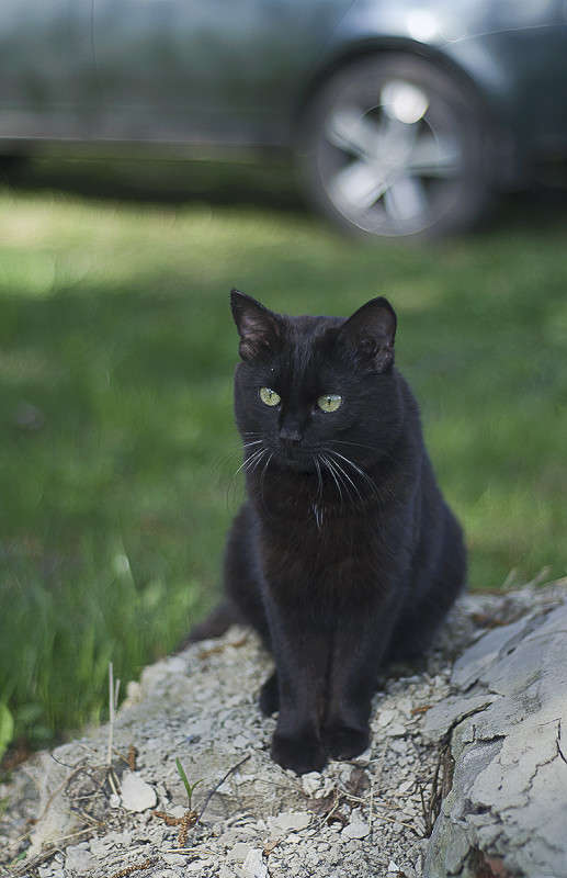 ... ����� ����� �������� �� PhotoGeek.ru #�������� ���