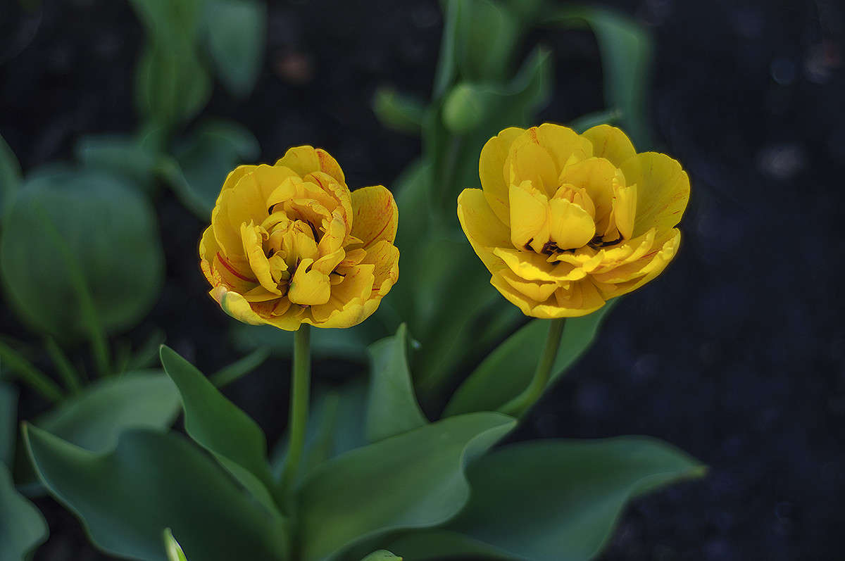 ... ����� ����� �������� �� PhotoGeek.ru #������ ��� ������� #����� ��������������