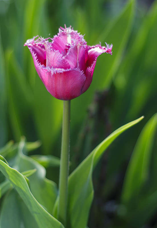 ... ����� ����� �������� �� PhotoGeek.ru #������ ��� ������� #����� ��������������