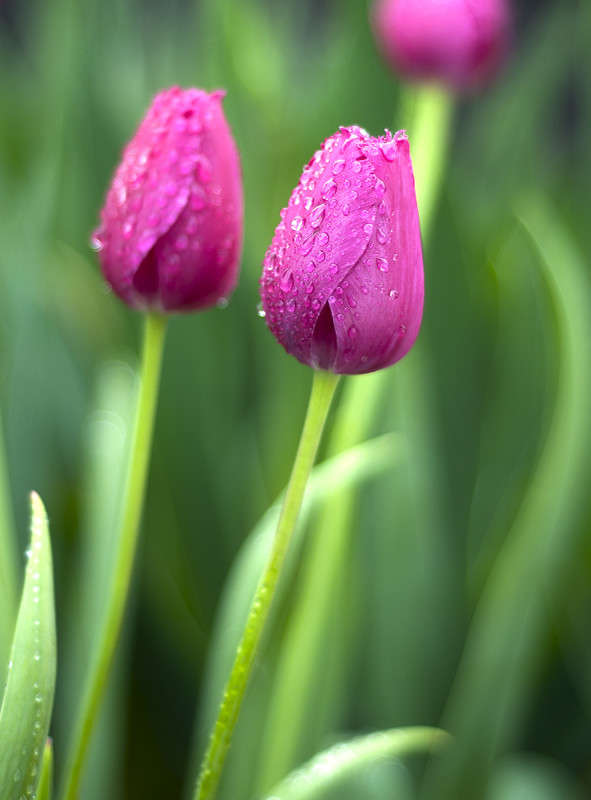 ... ����� ����� �������� �� PhotoGeek.ru #������ ��� ������� #����� ��������������