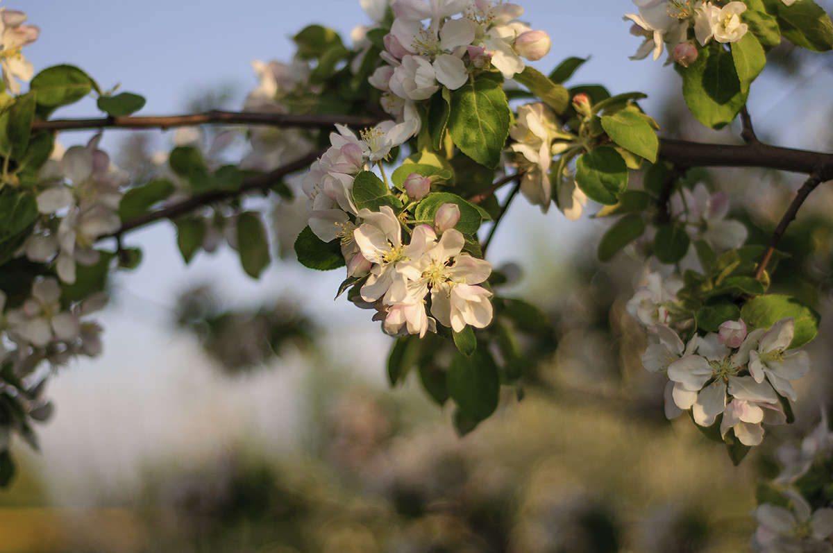 ... ����� ����� �������� �� PhotoGeek.ru #������ ��� ������� #����� ��������������