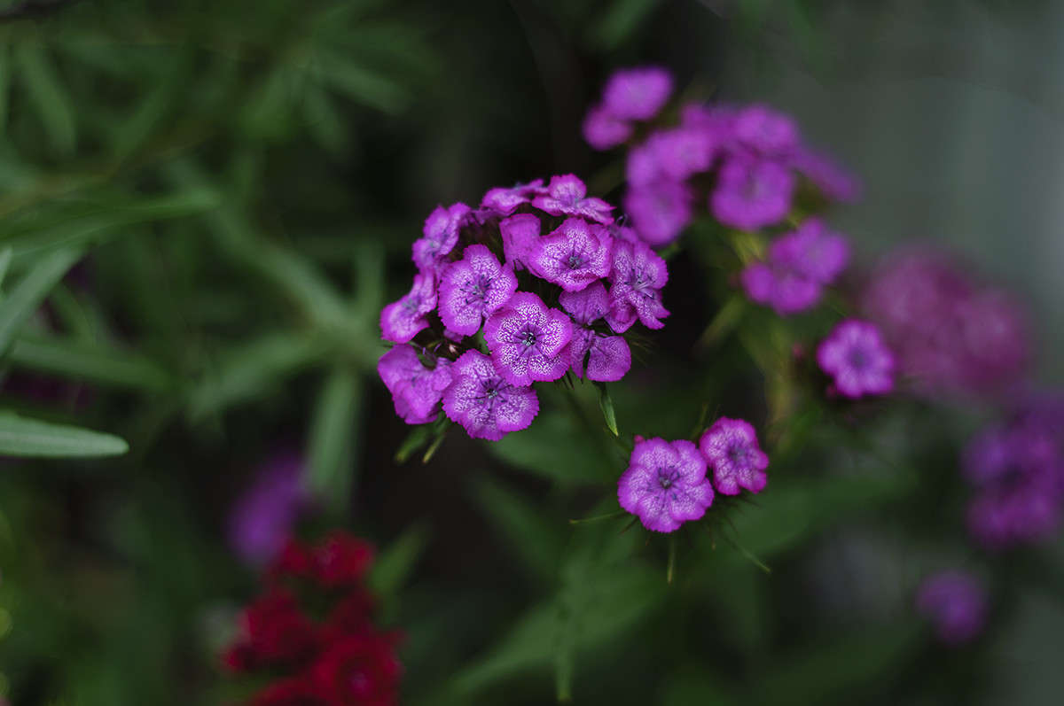 ... ����� ����� �������� �� PhotoGeek.ru #������ ��� ������� #����� ��������������