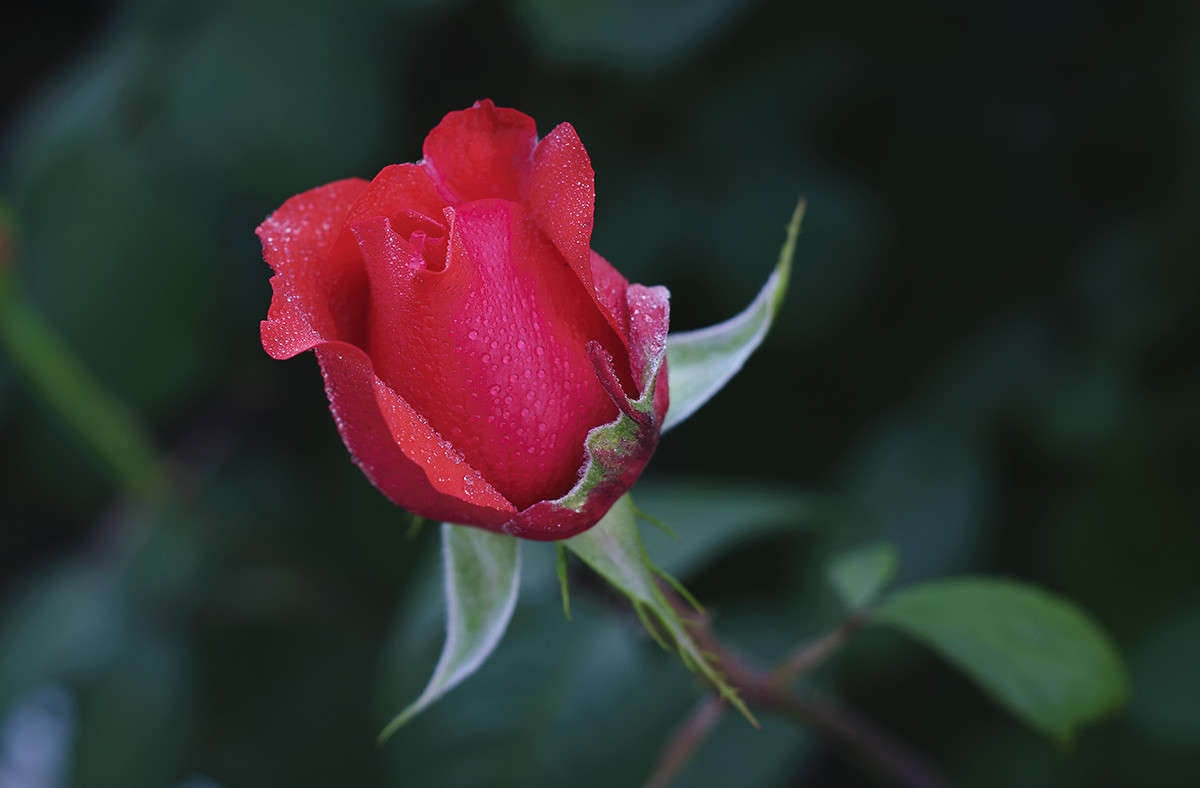 ... ����� ����� �������� �� PhotoGeek.ru #������ ��� ������� #����� ��������������