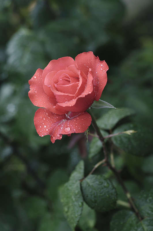 ... ����� ����� �������� �� PhotoGeek.ru #������ ��� ������� #����� ��������������