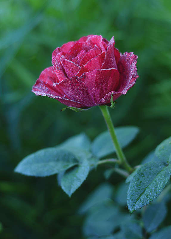 ... ����� ����� �������� �� PhotoGeek.ru #������ ��� ������� #����� ��������������