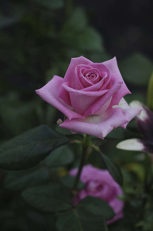 ... ����� ����� �������� �� PhotoGeek.ru #������ ��� ������� #����� ��������������