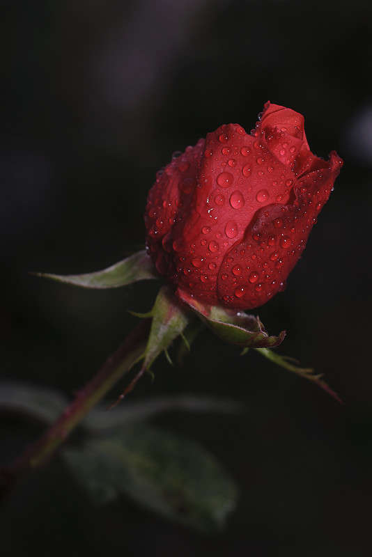 ... ����� ����� �������� �� PhotoGeek.ru #������ ��� ������� #����� ��������������