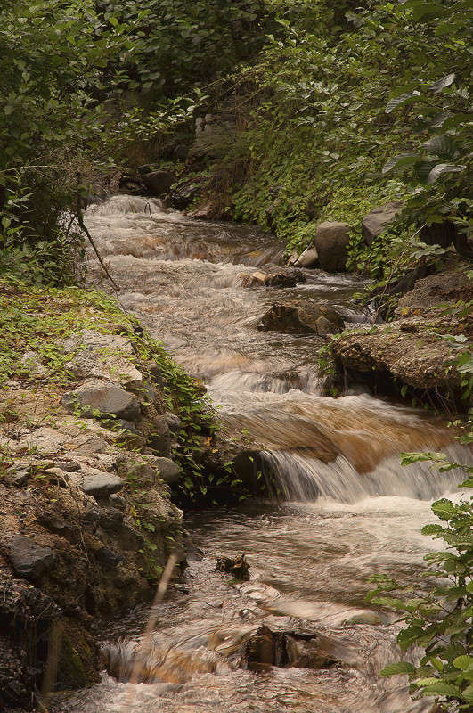 ������ ���� ����� ����� �������� �� PhotoGeek.ru #������ ��� �������