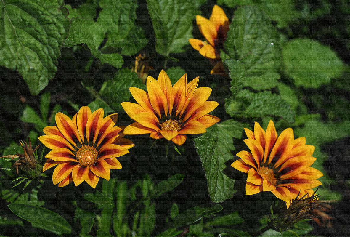 ... ����� ����� �������� �� PhotoGeek.ru #������ ��� ������� #����� ��������������