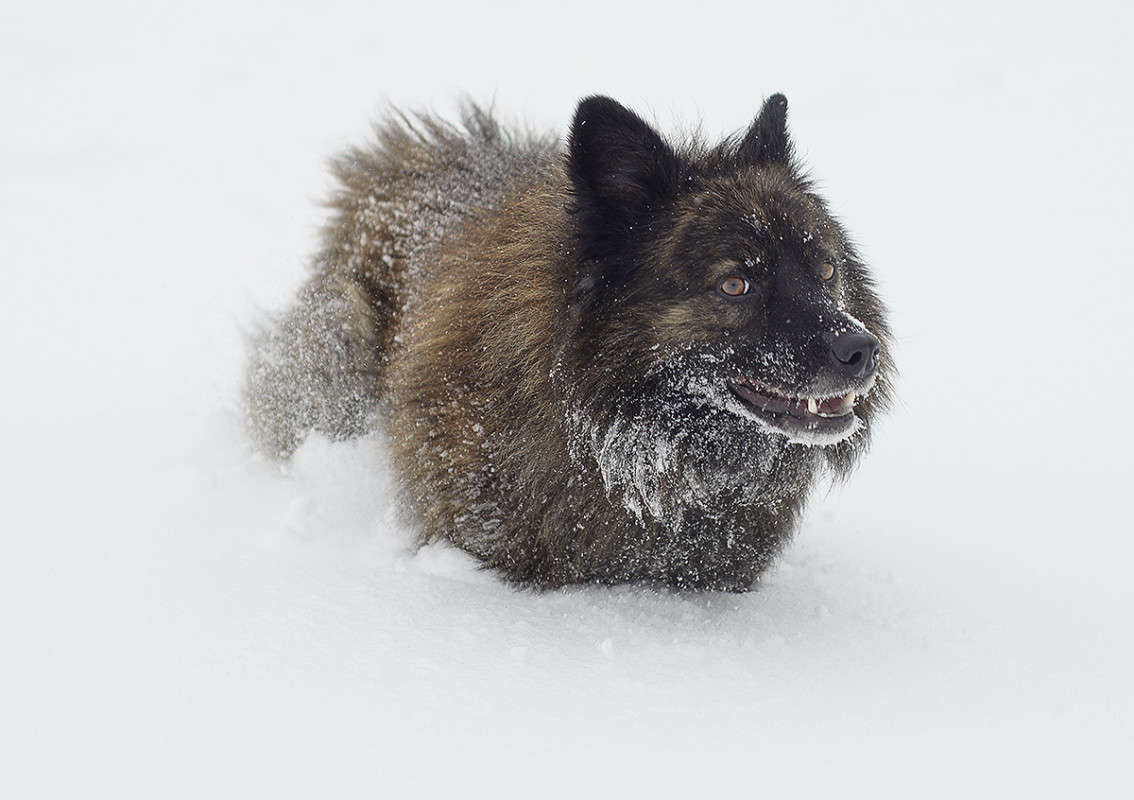 ������� �������) ����� ����� �������� �� PhotoGeek.ru #�������� ���