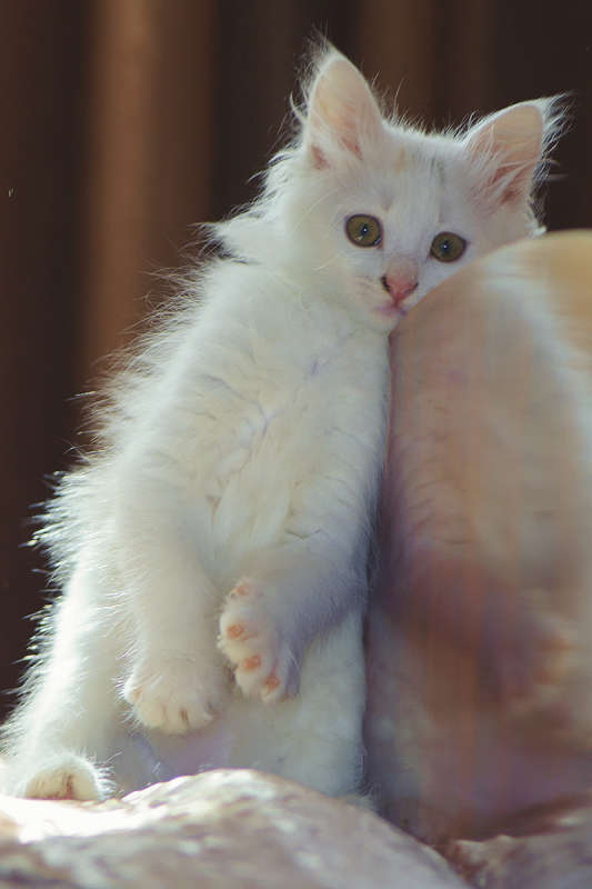 ������) ����� ����� �������� �� PhotoGeek.ru #�������� ���