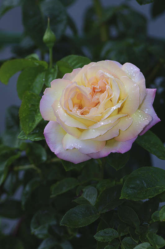 ����� �����... ����� ����� �������� �� PhotoGeek.ru #������ ��� ������� #����� ��������������