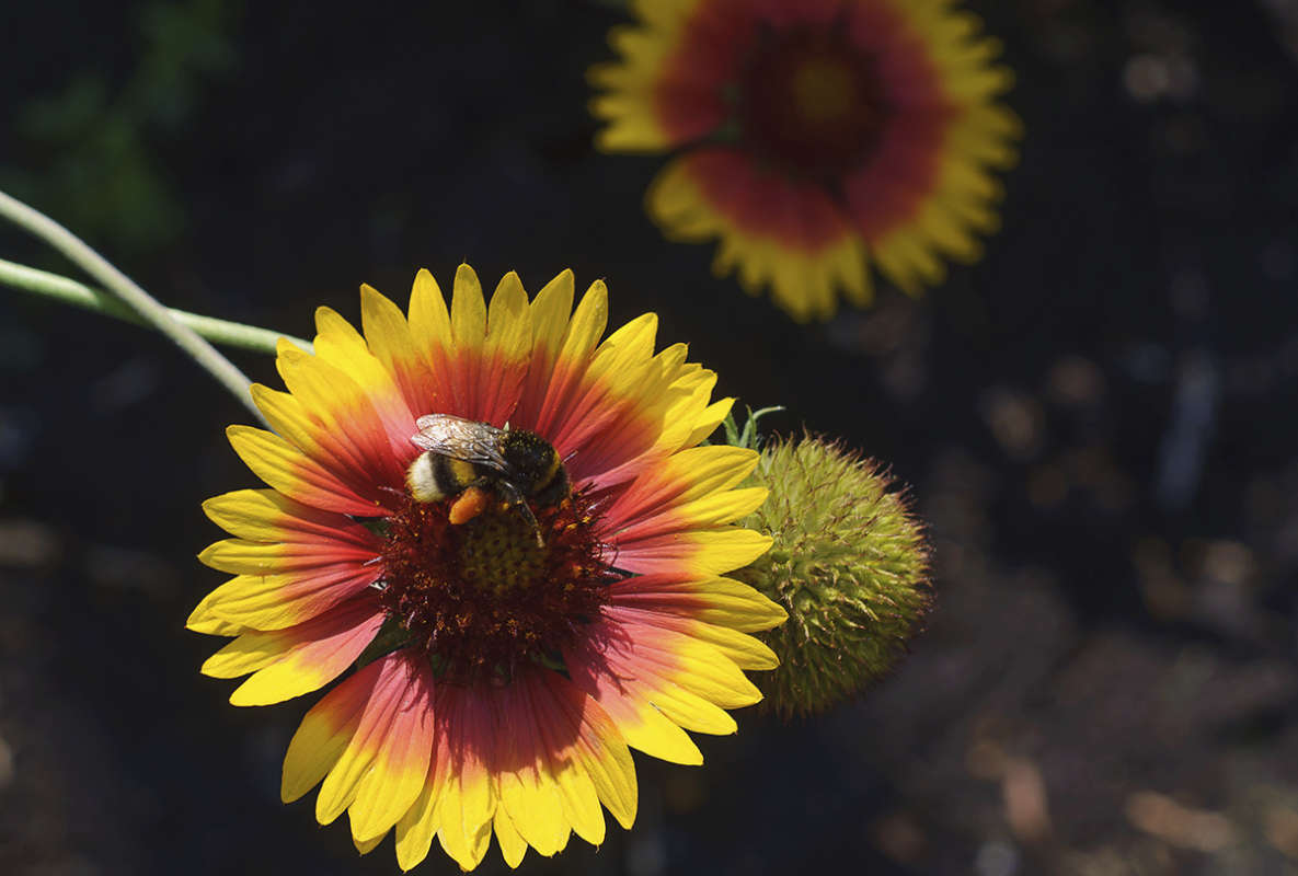 ... ����� ����� �������� �� PhotoGeek.ru #������ ��� �������