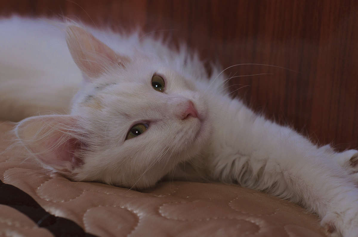 ... ����� ����� �������� �� PhotoGeek.ru #�������� ���