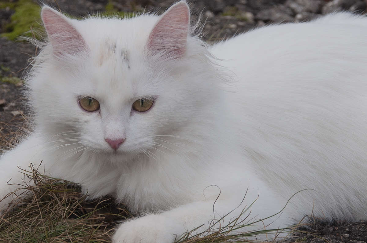 ... ����� ����� �������� �� PhotoGeek.ru #�������� ���