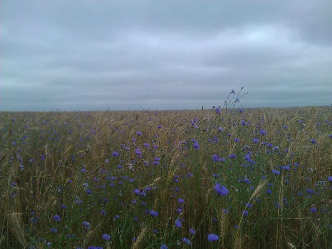 ������ �������� � ���� ���������� ����� �������� ����������� �������... ����� ��������� �������  �� PhotoGeek.ru #������ ��� �������