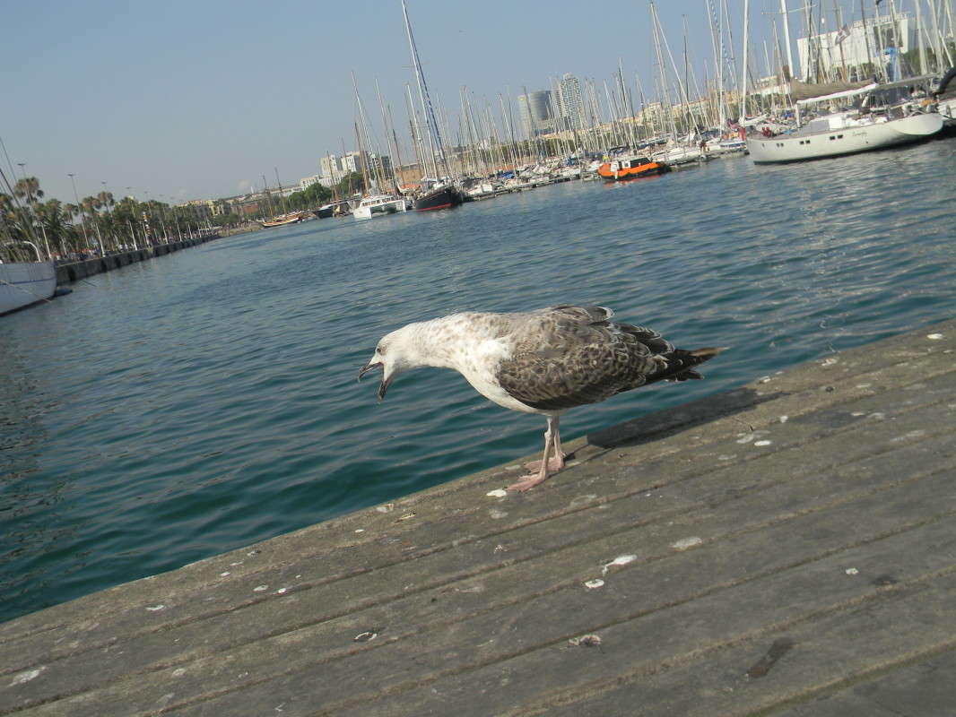 ...��������� ���!!! ����� ��������� �������  �� PhotoGeek.ru #�������� ���